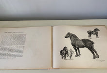 "HORSES," FIRST EDITION, RARE, VINTAGE HARDCOVER BOOK BY FAMOUS WILDLIFE ARTIST, EDWIN MEGARGEE