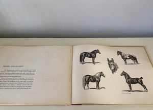"HORSES," FIRST EDITION, RARE, VINTAGE HARDCOVER BOOK BY FAMOUS WILDLIFE ARTIST, EDWIN MEGARGEE