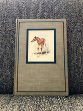 "THE RED PONY" FIRST EDITION (VINTAGE 1945 HARDBACK IN AMAZING CONDITION)