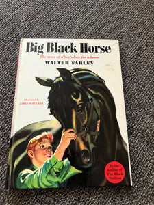 VINTAGE 1953 HARDBACK CHILDREN'S BOOK, "BIG BLACK HORSE, THE STORY OF A BOY'S LOVE FOR A HORSE" BY WALTER FARLEY (AUTHOR OF "THE BLACK STALLION")