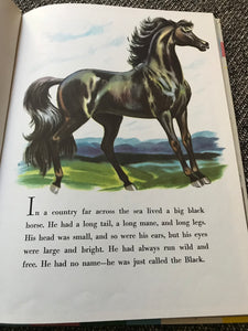 VINTAGE 1953 HARDBACK CHILDREN'S BOOK, "BIG BLACK HORSE, THE STORY OF A BOY'S LOVE FOR A HORSE" BY WALTER FARLEY (AUTHOR OF "THE BLACK STALLION")