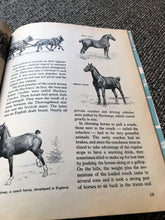 VINTAGE 1961 CHILDREN'S PAPERBACK, "THE HOW AND WHY WONDER BOOK OF HORSES"