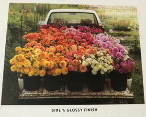 500-PIECE DOUBLE-SIDED MORE THAN A BOUQUET--ALL FOR YOU! A PICK-UP FULL OF FLOWERS/OMBRE ARRANGEMENT OF FLOWERS TWO-IN-ONE PUZZLE