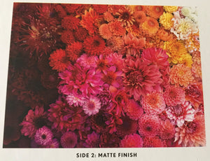 500-PIECE DOUBLE-SIDED MORE THAN A BOUQUET--ALL FOR YOU! A PICK-UP FULL OF FLOWERS/OMBRE ARRANGEMENT OF FLOWERS TWO-IN-ONE PUZZLE