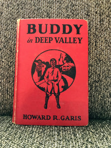 "BUDDY IN DEEP VALLEY OR A BOY ON A BEE FARM" (VINTAGE 1940 HARDCOVER)