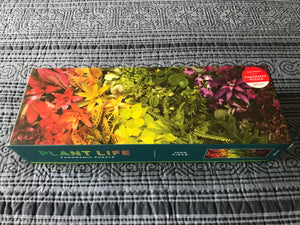 1,000-PIECE PUZZLE COLORFUL, OMBRE ARRANGEMENT WITH PLANTS/FLOWERS PANORAMA (HUGE AND SO SPECIAL)