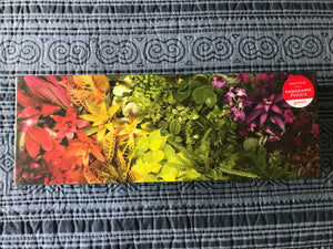 1,000-PIECE PUZZLE COLORFUL, OMBRE ARRANGEMENT WITH PLANTS/FLOWERS PANORAMA (HUGE AND SO SPECIAL)