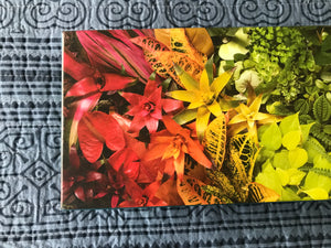 1,000-PIECE PUZZLE COLORFUL, OMBRE ARRANGEMENT WITH PLANTS/FLOWERS PANORAMA (HUGE AND SO SPECIAL)