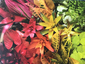 1,000-PIECE PUZZLE COLORFUL, OMBRE ARRANGEMENT WITH PLANTS/FLOWERS PANORAMA (HUGE AND SO SPECIAL)