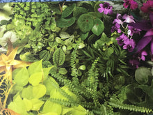 1,000-PIECE PUZZLE COLORFUL, OMBRE ARRANGEMENT WITH PLANTS/FLOWERS PANORAMA (HUGE AND SO SPECIAL)