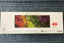 1,000-PIECE PUZZLE COLORFUL, OMBRE ARRANGEMENT WITH PLANTS/FLOWERS PANORAMA (HUGE AND SO SPECIAL)