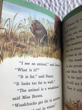 CHARMING VINTAGE SCHOOL BOOK "SUNSHINE AND RAIN" (1949 SAMPLE COPY IN EXCELLENT CONDITION)