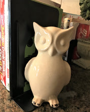 WHO-WHOOO NEEDS BOOKENDS? TWIN OWLS BLACK-STEEL BOOKENDS (SET OF TWO)