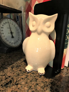 WHO-WHOOO NEEDS BOOKENDS? TWIN OWLS BLACK-STEEL BOOKENDS (SET OF TWO)