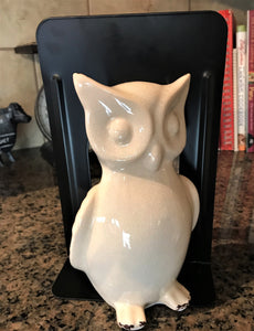 WHO-WHOOO NEEDS BOOKENDS? TWIN OWLS BLACK-STEEL BOOKENDS (SET OF TWO)