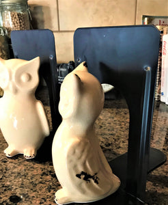 WHO-WHOOO NEEDS BOOKENDS? TWIN OWLS BLACK-STEEL BOOKENDS (SET OF TWO)