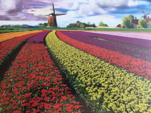 1,000-PIECE  STUNNING, SPECIAL WINDMILL AND RAINBOW-COLORED TULIP FIELD PUZZLE (MADE IN THE USA!)