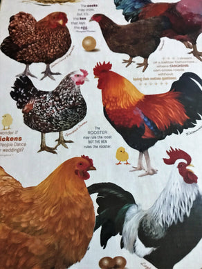 NAUGHTY HENS LAY SPECIAL EGGS. WHAT ARE THEY CALLED?