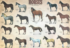 1,000-PIECE HORSE-THEMED BEAUTIFUL BREEDS PUZZLE