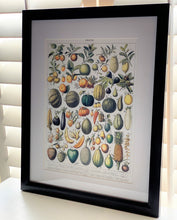 THE MOST GORGEOUS, EXTRA HIGH-QUALITY HEIRLOOM FRUITS MATTED/FRAMED VINTAGE-LOOK PRINT