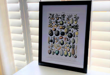 THE MOST GORGEOUS, EXTRA HIGH-QUALITY HEIRLOOM FRUITS MATTED/FRAMED VINTAGE-LOOK PRINT