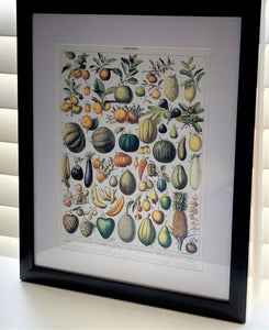 THE MOST GORGEOUS, EXTRA HIGH-QUALITY HEIRLOOM FRUITS MATTED/FRAMED VINTAGE-LOOK PRINT