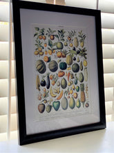 THE MOST GORGEOUS, EXTRA HIGH-QUALITY HEIRLOOM FRUITS MATTED/FRAMED VINTAGE-LOOK PRINT