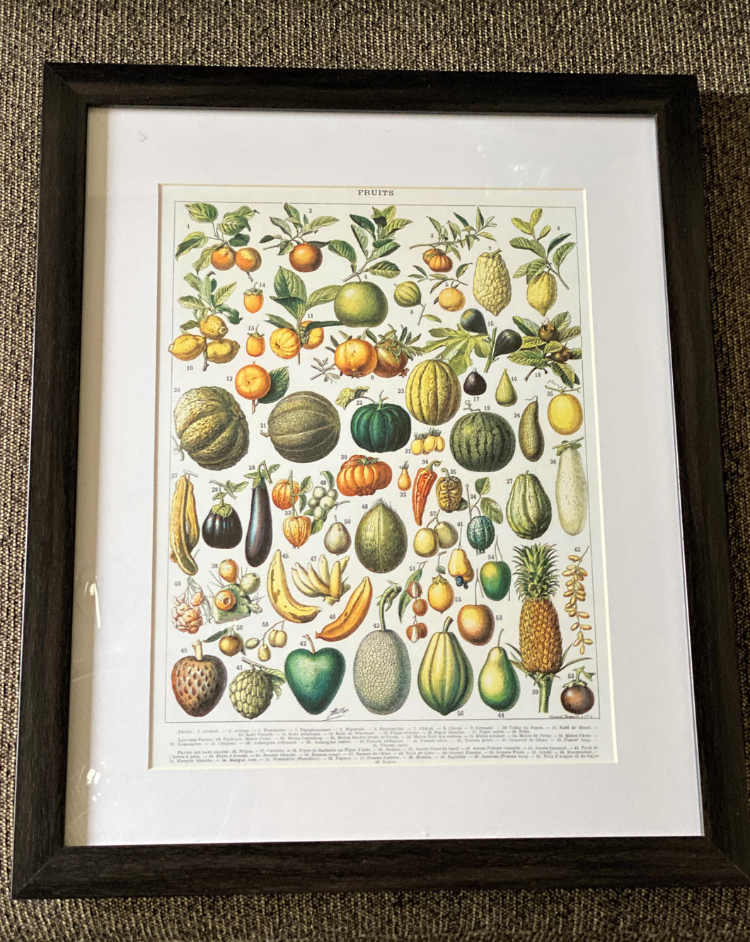 THE MOST GORGEOUS, EXTRA HIGH-QUALITY HEIRLOOM FRUITS MATTED/FRAMED VINTAGE-LOOK PRINT