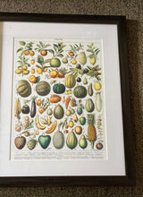 THE MOST GORGEOUS, EXTRA HIGH-QUALITY HEIRLOOM FRUITS MATTED/FRAMED VINTAGE-LOOK PRINT