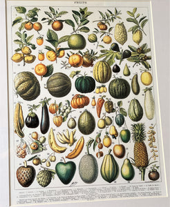 THE MOST GORGEOUS, EXTRA HIGH-QUALITY HEIRLOOM FRUITS MATTED/FRAMED VINTAGE-LOOK PRINT