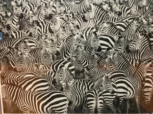 BLACK-AND-WHITE 500-PIECE PUZZLE:  Z IS FOR ZEBRA, ZEBRA, ZEBRA, ZEBRA, ZEBRA...