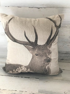 BIG-BUCK CHRISTMAS-TIME (OR ANYTIME) RUSTIC THROW PILLOW