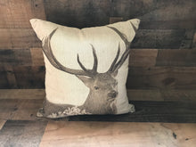 BIG-BUCK CHRISTMAS-TIME (OR ANYTIME) RUSTIC THROW PILLOW