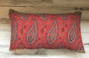 PRETTY, PRETTY PAISLEY-PRINT LUMBAR-STYLE THROW PILLOW