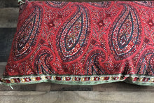 PRETTY, PRETTY PAISLEY-PRINT LUMBAR-STYLE THROW PILLOW