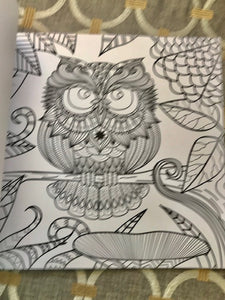 THE MOST OWL-MAZING COLORING BOOK FOR OWL-LOVERS (LOVELY GIFT!)