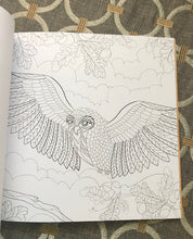 THE MOST OWL-MAZING COLORING BOOK FOR OWL-LOVERS (LOVELY GIFT!)