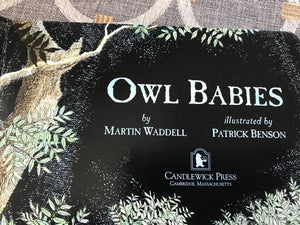 "OWL BABIES" HARDBACK CHILDREN'S BELOVED BOARD BOOK (FIRST SCHOLASTIC PRINTING/1996 COLLECTIBLE EDITION!)