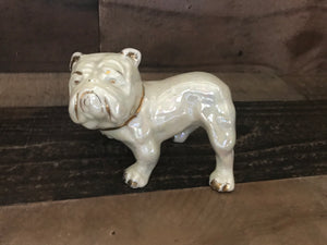 VINTAGE SHIMMERY-FINISH IVORY PORCELAIN BULLDOG WITH GOLD TRIM