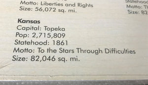 CHILDREN'S EXTRA-LARGE/EXTRA-HEAVYWEIGHT/EXTRA-NICE WOODEN UNITED STATES OF AMERICA PUZZLE (FEATURES STATE CAPITALS AND STATE INFO)