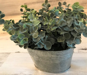 JUST THE  C U T E S T ! LITTLE BABY FAUX EUCALYPTUS PLANT IN A BITTY GALVANIZED BIN