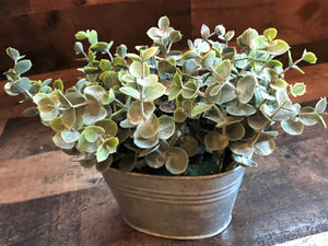 JUST THE  C U T E S T ! LITTLE BABY FAUX EUCALYPTUS PLANT IN A BITTY GALVANIZED BIN