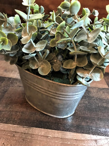 JUST THE  C U T E S T ! LITTLE BABY FAUX EUCALYPTUS PLANT IN A BITTY GALVANIZED BIN