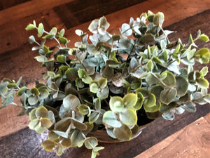 JUST THE  C U T E S T ! LITTLE BABY FAUX EUCALYPTUS PLANT IN A BITTY GALVANIZED BIN