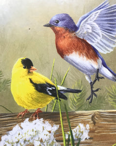 300 EXTRA-LARGE PIECES BIRD-THEMED PUZZLE:   SWEET-SINGIN' SONGBIRDIES SO COLORFUL AND FAMILY-FRIENDLY (MADE IN THE USA!)