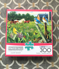 300-PIECE LARGE PIECES FARM-ISH PUZZLE WITH BIRD-THEME AND HORSE-THEME, FREE IN THE FIELD:  BEAUTIFUL, FAMILY-FRIENDLY PUZZLE (MADE IN THE USA!)