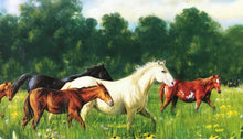 300-PIECE LARGE PIECES FARM-ISH PUZZLE WITH BIRD-THEME AND HORSE-THEME, FREE IN THE FIELD:  BEAUTIFUL, FAMILY-FRIENDLY PUZZLE (MADE IN THE USA!)