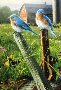 300-PIECE LARGE PIECES FARM-ISH PUZZLE WITH BIRD-THEME AND HORSE-THEME, FREE IN THE FIELD:  BEAUTIFUL, FAMILY-FRIENDLY PUZZLE (MADE IN THE USA!)